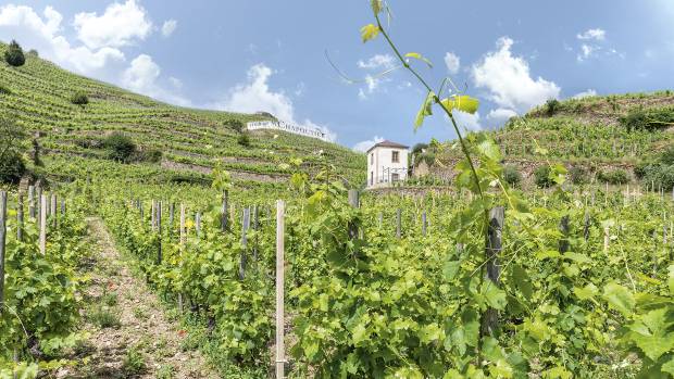 Chapoutier3 Chapoutier3