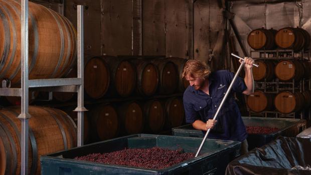 Deep Woods3 Deep Woods3