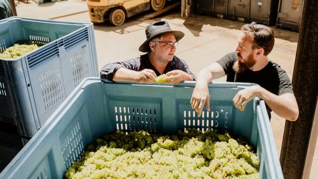 Naturaliste3 Naturaliste3