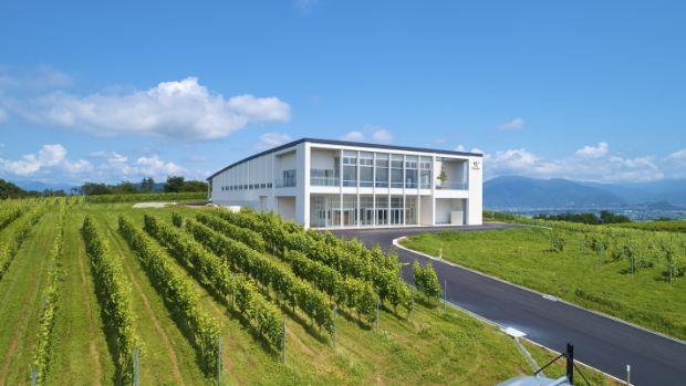 Château Mercian Mariko Winery - Image 2