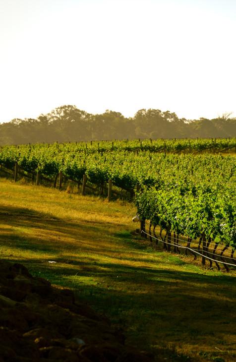 Western Australia