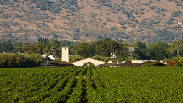 Robert Mondavi Winery Image