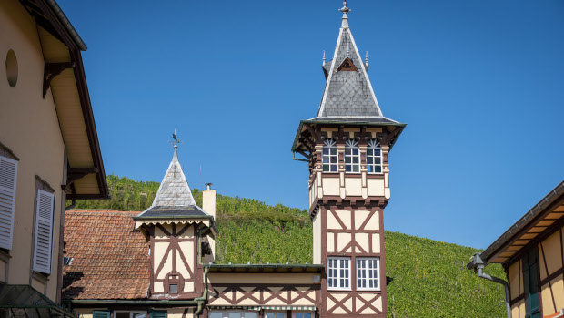 Trimbach 1