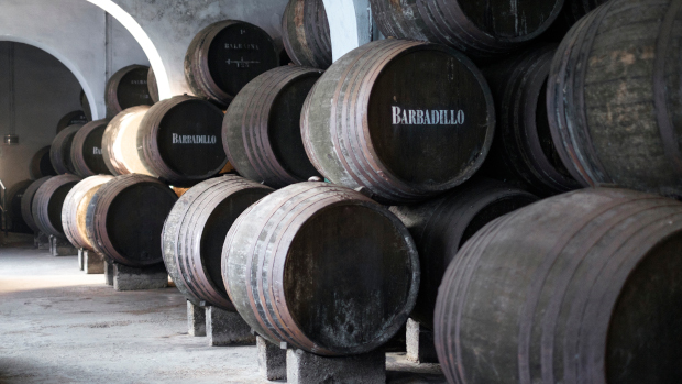 Barbadillo 3