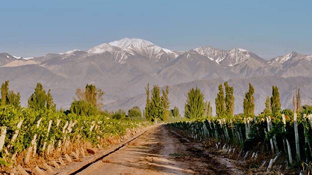 Bodegas Lopez - Image 2