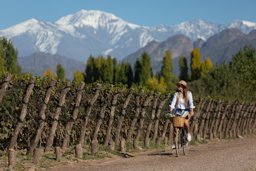 MENDOZA BIKE