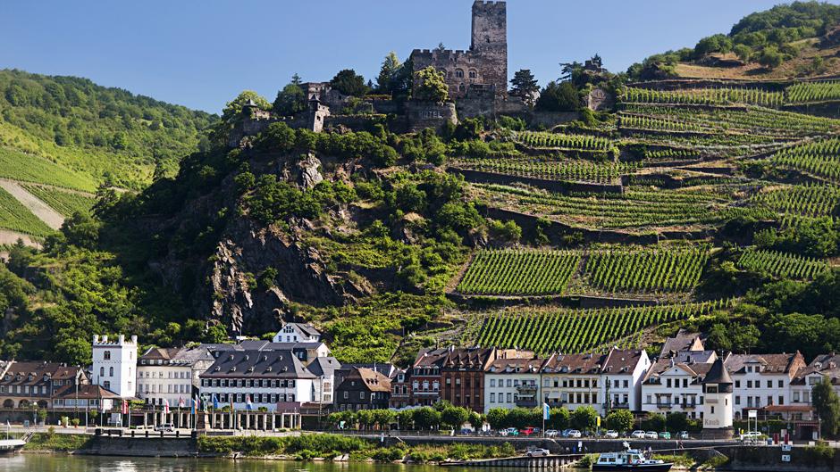 Best Wineries in Germany