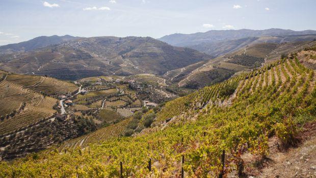 Quinta do Infantado | World's Best Vineyards 2022