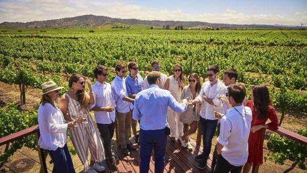 Viña Casas del Bosque | World's Best Vineyards 2021