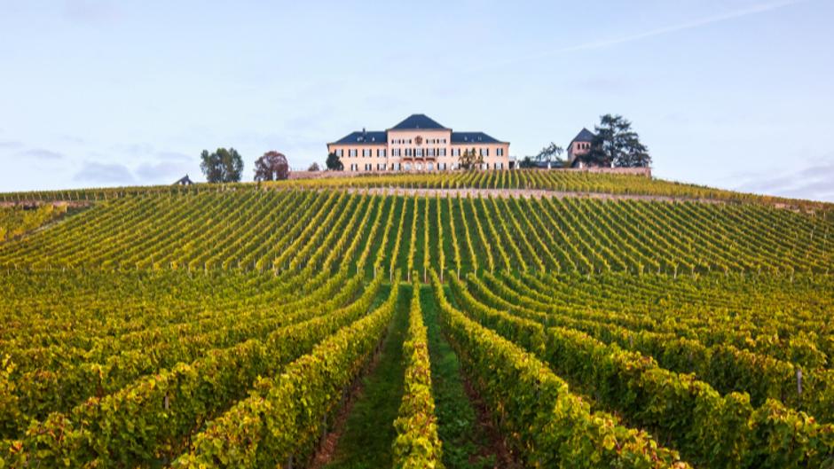 The Best Vineyard in Europe 2025