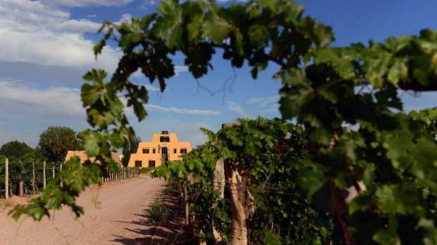 Top 10 Wineries in the World  